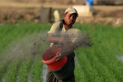 Logística. La interrupción del comercio y el traslado de insumos amenaza cadenas agrícolas claves.