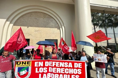 Docentes despedidos protestaron frente a la Zona 8 de Educación para exigir respuestas y reintegro laboral.