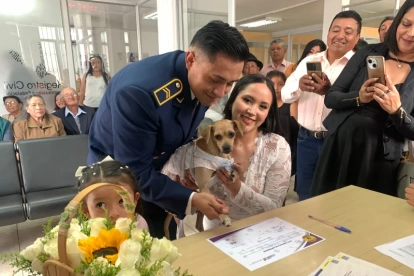 Las mascotas ya pueden ser parte de las bodas civiles en Ecuador.