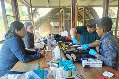 Comunidades Kichwa, Siona y Cofán participaron en el monitoreo científico y en la construcción de acuerdos para una pesca sostenible.
