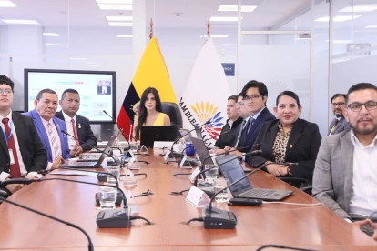 La mayoría de la Comisión de Transparencia, cuya presidenta es Diana Jácome, no encontró responsabilidades en las autoridades, al investigar caso Progen.
