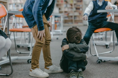 La violencia escolar refleja una fractura social.