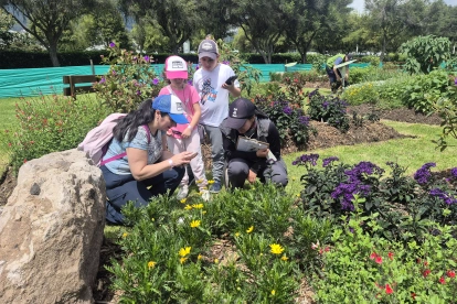 La iniciativa que busca recuperar la biodiversidad dentro de la ciudad.