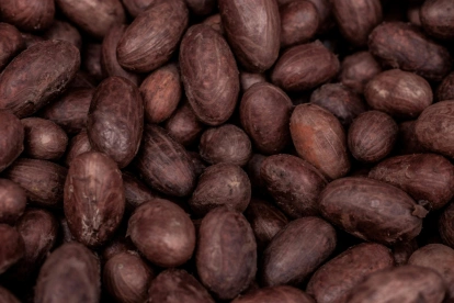 El productor de Milagro ha representado al Ecuador en encuentros internacionales sobre cacao.