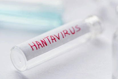 El Reino Unido desplegó una misión aérea para asistir a un residente con síntomas compatibles con hantavirus.