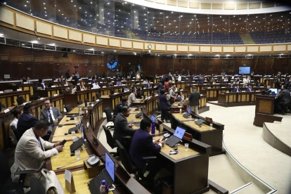 La Asamblea Nacional está compuesta por dos grande minorías: ADN y Revolución Ciudadana.