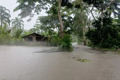 El desbordamiento de los ríos Napo y Misahuallí inundaron varias viviendas en esa provincia de la Amazonía.