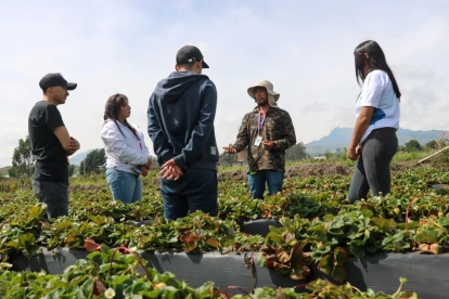 Programa del Minisiterio de Agricultura para que más jóvenes se interesen en trabajar en el campo.