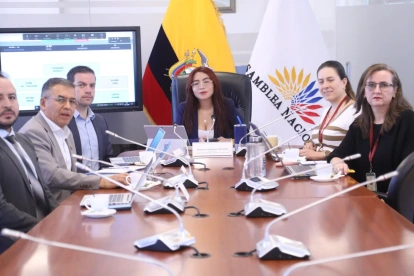 La legisladora Nathaly Farinango, de ADN, preside la Comisión de Régimen Económico de la Asamblea.