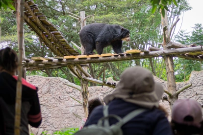 Zoológico de Quito lanza campaña de apadrinamiento para animales rescatados.