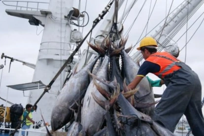 Al ser un sector exportador, la pesca no puede trasladar el incremento a sus compradores internacionales.