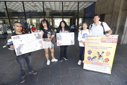 Animalistas realizaron un plantón en exteriores del Municipio para respaldar el tratamiento de la ordenanza contra la pirotecnia ruidosa.