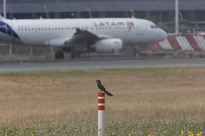 Fotografía de archivo de un avión de Latam en el aeropuerto de Guayaquil.