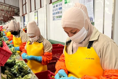 Trabajadores cumplen su jornada de trabajo en una fábrica.