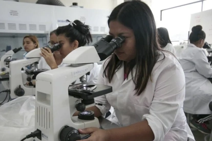 Estudiantes revisan ofertas académicas ante alerta por instituciones sin autorización en Ecuador.