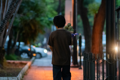 Algunos niños trabajan por "tradición familiar". Grupos enteros se toman esquinas determinadas para ofrecer frutas.