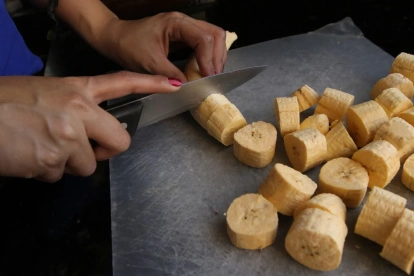 El plátano verde, uno de los grandes símbolos de la cocina ecuatoriana