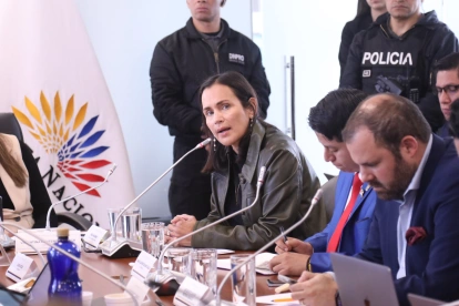 La exministra Inés Manzano, convocada por la Comisión de Desarrollo Económico de la Asamblea. Febrero de 2026.
