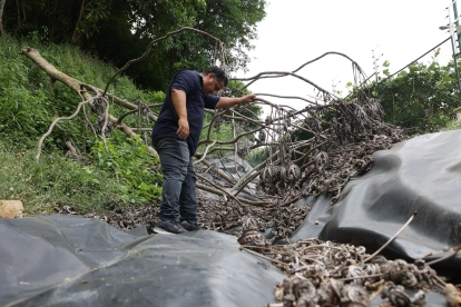 Bosques de la Costa. En la ciudadela de vía a la costa temen que los deslaves continúen y terminen afectando a las viviendas.