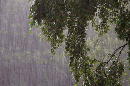 Referencial.La intensa lluvia marca la temporada invernal en Ecuador, mientras los municipios afinan planes de mitigación ante El Niño 2026.