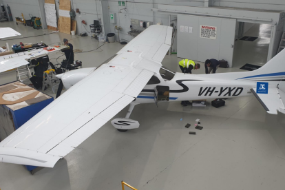Cámaras hiperespectrales insertas en drones o avionetas detectan la Xylella un año antes de que los síntomas sean visibles.
