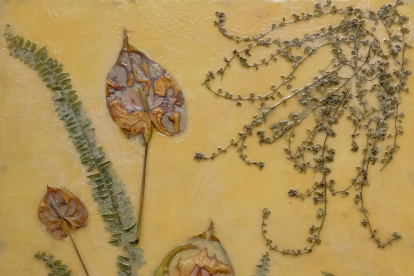 La exposición se inauguró en el Museo Municipal de Guayaquil y se puede visitar de martes a sábado.