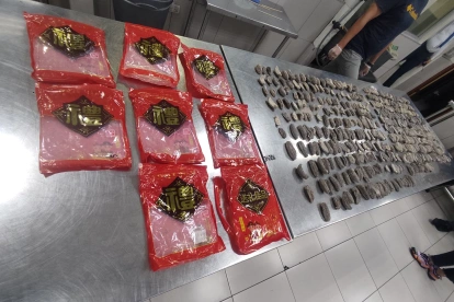 Intento de exportación ilegal de 658 pepinos de mar de la especie Isostichopus Fuscus, en el aeropuerto de Guayaquil.