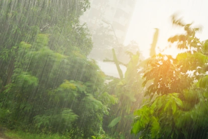Referencial. La lluvia intensa cubre zonas de vegetación en Ecuador, mientras el pronóstico advierte precipitaciones este 12 de junio.