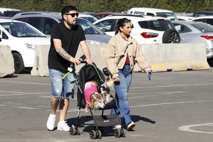 Una pareja al caminar con un par de perros, llevados en un choche de bebés, durante feria ‘Expo Mascotas & Animales’, en Santiago de Chile, una ciudad con baja tasa de natalidad.