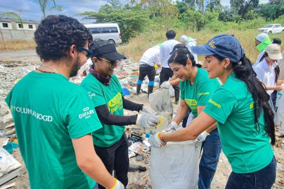 Plantas nativas fueron sembradas en alianzas público-privadas