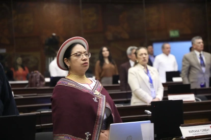 Mariana Yumbay cuestionó la aprobación del cambio del orden del día para iniciar una fiscalización sobre cámaras de seguridad en Guayaquil.