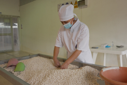 Estudios internacionales confirman que el chocho combina alto valor nutricional, potencial agroindustrial y beneficios ambientales que lo convierten en un cultivo clave para el futuro.