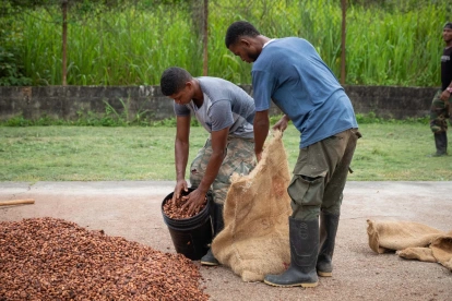 Oferta. Ecuador, a diferencia de los países africanos, destaca en el mundo por su oferta de calidad y prácticas de sostenibilidad y comercio justo.