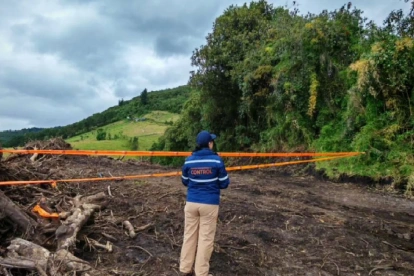 Control. Los inspectores de la AMC recorrieron el predio afectado en Guamaní, en donde el dueño taló 70 árboles nativos.