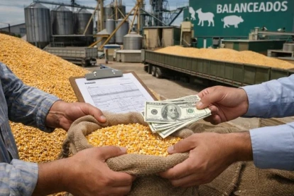 Una foto referencial sobre la comercialización del maíz en Ecuador.