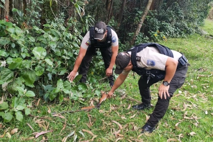 En el sector de Argelia, sur de Quito, policías del Distrito Eloy Alfaro localizaron una arma de fuego, que fue levantada con cadena de custodia y trasladada a la Policía Judicial.