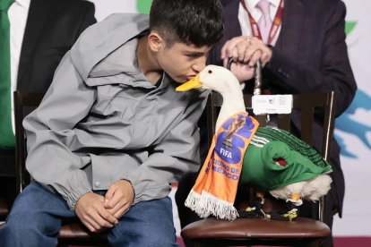 Carlos besa al pato Merlín, vestido con una camiseta de la Selección Mexicana de Fútbol, durante una visita a la presidenta de México, Claudia Sheinbaum, este lunes, en el Palacio Nacional de Ciudad de México (México).