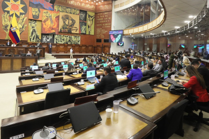 Los asambleístas votaron a favor de cambiar el orden del día para que el Pleno analice el supuesto incremento de alcaldes y prefectos del Ecuador.