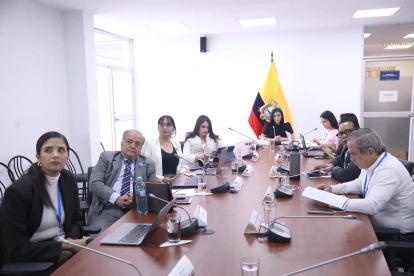 La Comisión de la Niñez continuó la fiscalización de denuncias de acoso escolar y violencia en instituciones educativas.