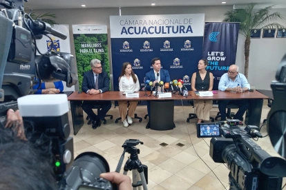 Anuncio y firma del memorando de entendimiento para impulsar protección, recuperación y restauración d manglares.