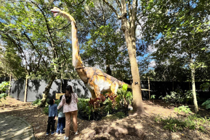 Dinosaurios gigantes con efectos de sonido y movimiento son la gran atracción del Jardín Jurásico en Quito.