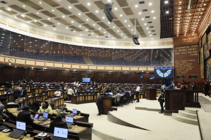 La Asamblea Nacional lleva adelante procesos de fiscalización a los incrementos patrimoniales de los alcaldes y prefectos, así como al uso de cámaras de vigilancia.