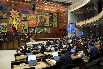La Asamblea se apresta a ramita un nuevo proceso de juicio político en contra de Inés Manzano.