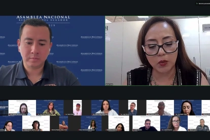 La sesión de la Comisión de Fiscalización se llevó adelante de manera virtual este 26 de junio de 2026.