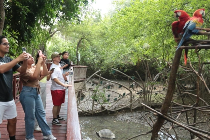 El Parque Histórico queda en Samborondón. Ofrece una mirada a especies endémicas que han sido rescatadas.