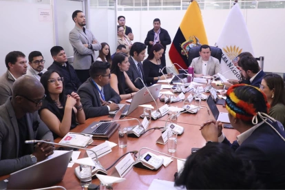 El excorreísta Ferdinan Álvarez preside la Comisión de Fiscalización.