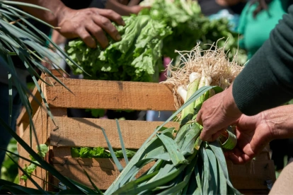 Dedicó su vida a la investigación, la docencia y el impulso de la agricultura orgánica en Ecuador