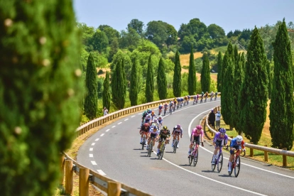 El Tour de Francia 2026 se disputa desde el pasado 4 de julio.