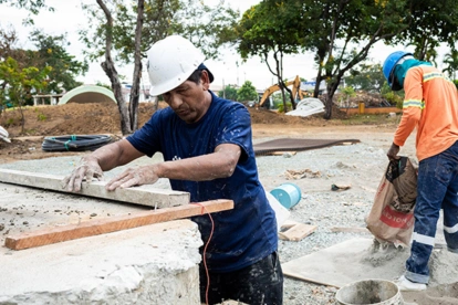 Se sembrarán 207 nuevos árboles para reforzar las áreas verdes del Parque Clemente Yerovi, actualmente en recontrucción.