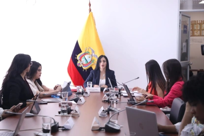 Representantes de UNICEF y un experto en justicia juvenil expusieron observaciones al proyecto que reforma el régimen de adolescentes infractores.